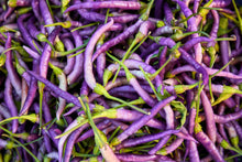 Load image into Gallery viewer, Pepper, Cayenne Purple
