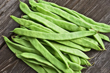 Load image into Gallery viewer, Bean, Romano Bush