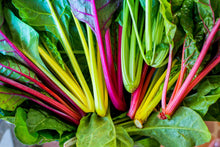 Load image into Gallery viewer, Swiss Chard, Northern Lights