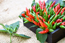 Load image into Gallery viewer, Pepper, Bird's Eye Chili