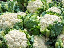 Load image into Gallery viewer, Cauliflower, Snowball Self Blanching