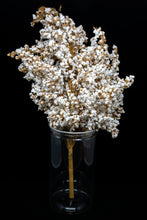 Load image into Gallery viewer, Sorghum, White Popping