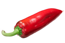 Load image into Gallery viewer, Pepper, Marconi Red