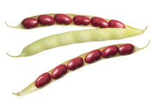 Load image into Gallery viewer, Bean, Small Red - Organic