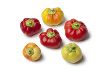Load image into Gallery viewer, Pepper, Alma Paprika