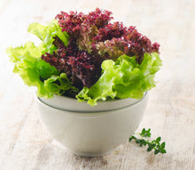 Load image into Gallery viewer, Lettuce, Leaf Red Salad Bowl