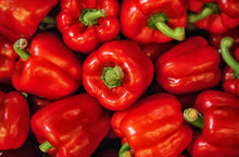 Load image into Gallery viewer, Pepper, Big Red Bell