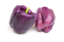 Load image into Gallery viewer, Pepper, Purple Beauty Bell
