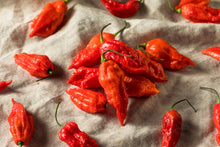 Load image into Gallery viewer, Pepper, Ghost