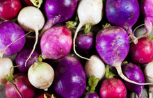 Load image into Gallery viewer, Radish, Easter Egg