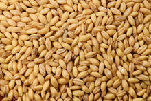 Load image into Gallery viewer, Barley, Common