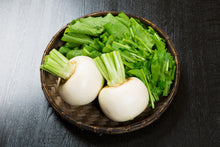 Load image into Gallery viewer, Turnip, Shogoin