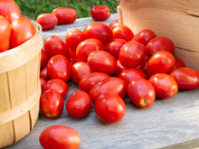 Load image into Gallery viewer, Tomato, Roma