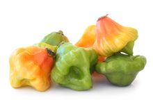 Load image into Gallery viewer, Pepper, Orange Scotch Bonnet