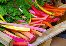 Load image into Gallery viewer, Swiss Chard, Northern Lights