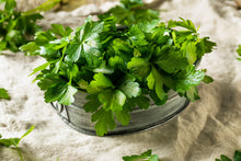 Load image into Gallery viewer, Parsley, Flat Leaf