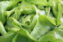 Load image into Gallery viewer, Lettuce, Buttercrunch