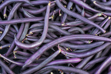 Load image into Gallery viewer, Bean, Royalty Purple Pod