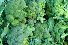 Load image into Gallery viewer, Broccoli, Waltham 29