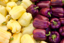 Load image into Gallery viewer, Pepper, Lilac Bell