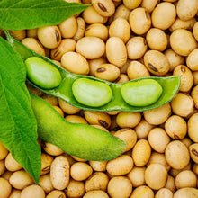 Load image into Gallery viewer, Soybean,  Edamame