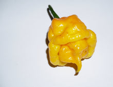 Load image into Gallery viewer, Pepper, Yellow Scotch Bonnet