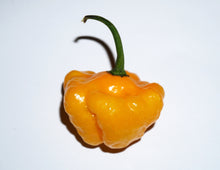 Load image into Gallery viewer, Pepper, Yellow Jamaican Hot