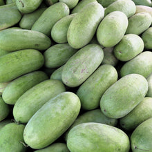 Load image into Gallery viewer, Watermelon, Charleston Gray