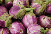 Load image into Gallery viewer, Eggplant, Italian Rosa Bianca - Organic
