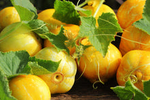 Load image into Gallery viewer, Cucumber, Lemon