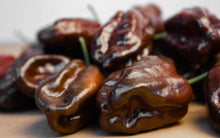 Load image into Gallery viewer, Pepper, Habanero Brown