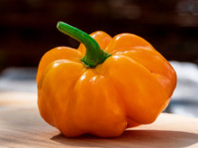 Load image into Gallery viewer, Pepper, Yellow Jamaican Hot