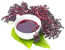Load image into Gallery viewer, Elderberry, American