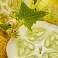Load image into Gallery viewer, Cucumber, Lemon