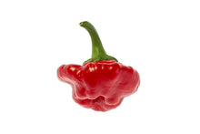 Load image into Gallery viewer, Pepper, Jamaican Hot Red