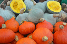 Load image into Gallery viewer, Winter Squash, Golden Hubbard
