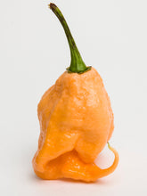 Load image into Gallery viewer, Pepper, Carolina Reaper Peach