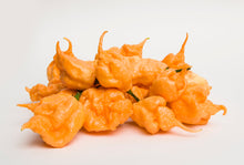 Load image into Gallery viewer, Pepper, Carolina Reaper Peach