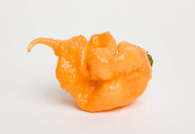 Load image into Gallery viewer, Pepper, Carolina Reaper Peach