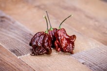 Load image into Gallery viewer, Pepper, Carolina Reaper