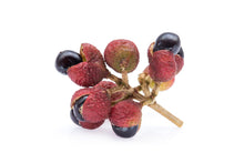 Load image into Gallery viewer, Pepper, Szechuan