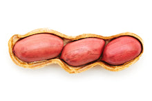 Load image into Gallery viewer, Peanut, Tennessee Red
