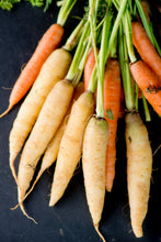 Load image into Gallery viewer, Carrot, Lunar White