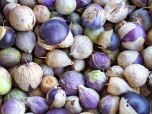 Load image into Gallery viewer, Tomatillo, Purple