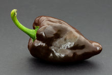 Load image into Gallery viewer, Pepper, Mulato Isleno
