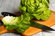 Load image into Gallery viewer, Lettuce, White Boston