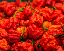 Load image into Gallery viewer, Pepper, Carolina Reaper