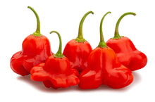 Load image into Gallery viewer, Pepper, Cambuci