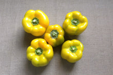 Load image into Gallery viewer, Pepper, Yellow Cheese Pimento