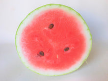 Load image into Gallery viewer, Watermelon, Charleston Gray